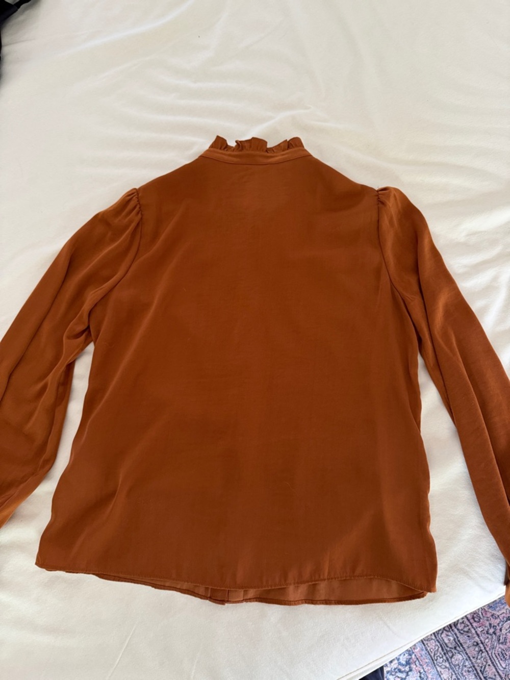 Banana Republic Rust Ruffle Neck Button-Front Blouse - Picture 4 of 5